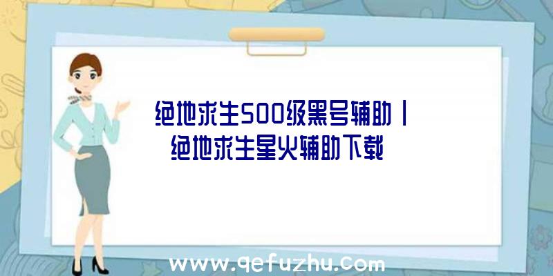 「绝地求生500级黑号辅助」|绝地求生星火辅助下载